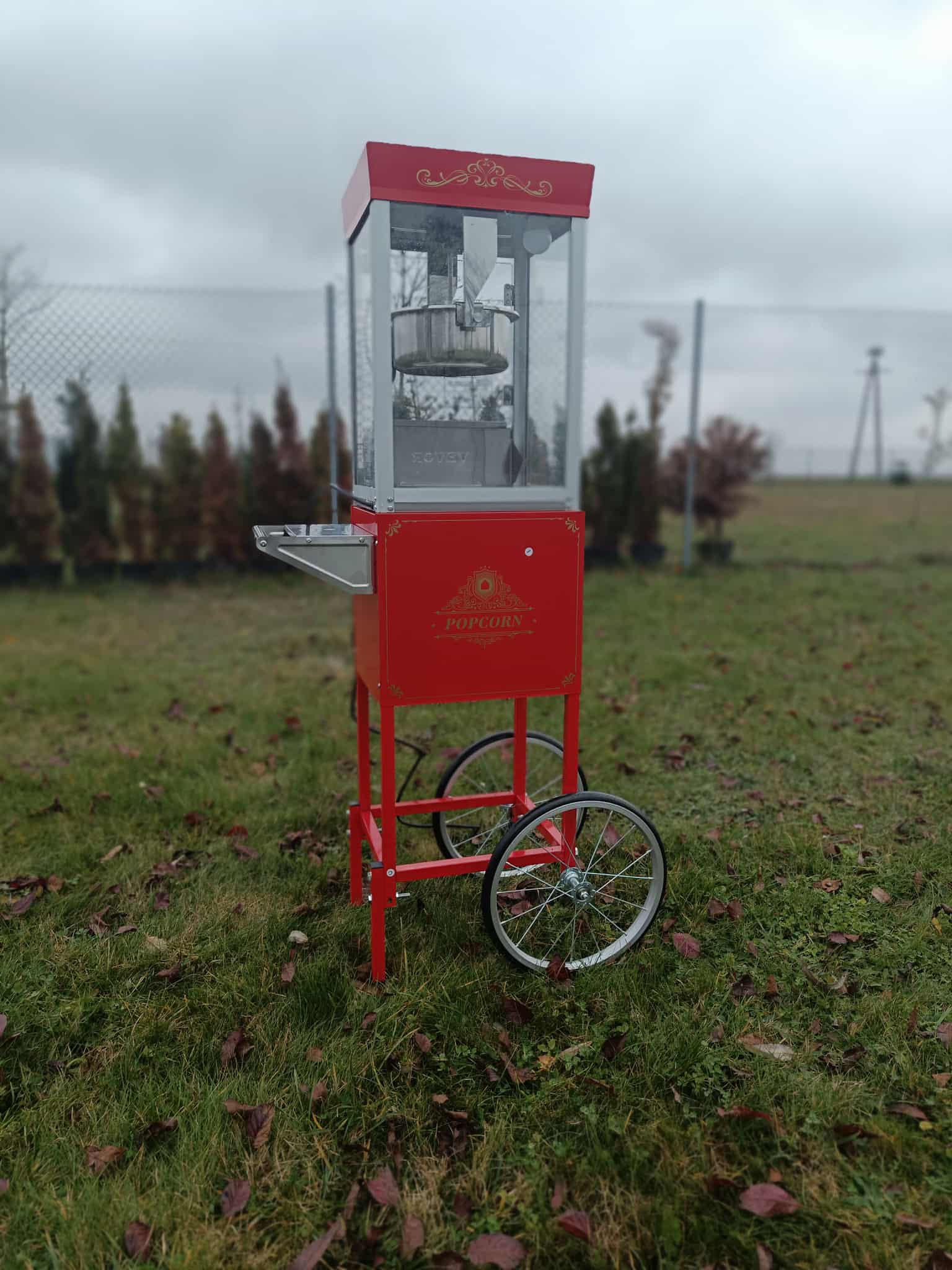 Animacje urodzinowe